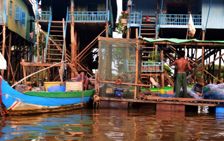 In Floating Village’s Plummeting Waters, Fish ‘Struggle to Breathe’