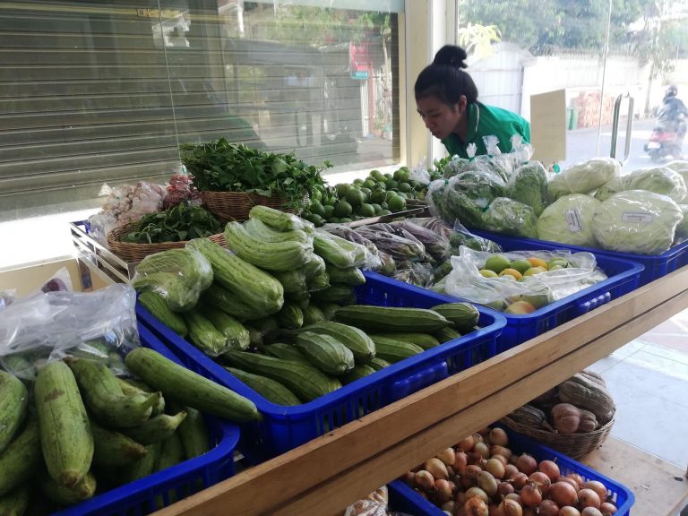 Organic Vegetable Sellers Report a Rapidly Growing Market