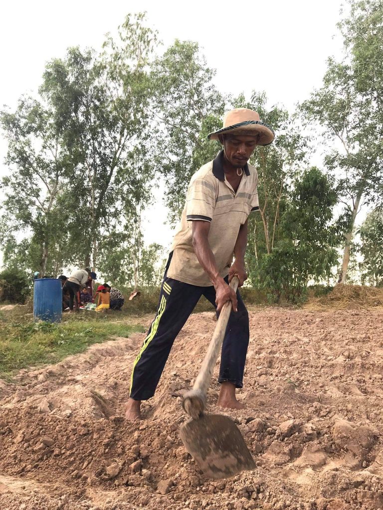 កសិករ​​មួយ​ចំនួន​​នៅ​​កំពង់ធំ​​ថា​​ទិន្នផល​​ស្រូវ​​ធ្លាក់​ចុះ​​ព្រោះ​​គ្រោះ​​រាំង​ស្ងួត​​អូស​​បន្លាយ​​យូរ​