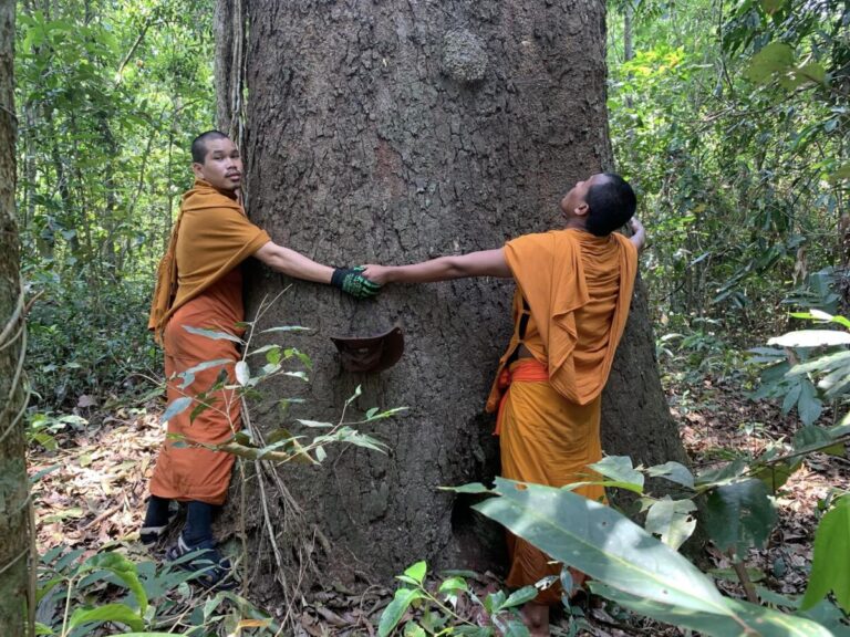 ព្រះភិក្ខុប៉ម សុខៃវណ្ណៈ ប្រកាសរកជំនួយឧបត្ថម្ភសំពត់ងូតចំនួន៦០ស្បង់ ដើម្បីយកទៅបំបួសដើមឈើ