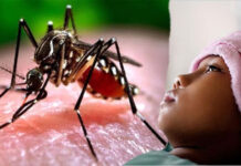 ករណីជំងឺគ្រុនឈាមកើនឡើង រដ្ឋាភិបាលជំរុញឲ្យមានការប្រុងប្រយ័ត្ន