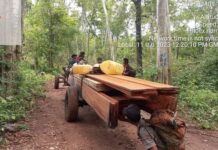 បទយកការណ៍៖ សហគមន៍ថាបទល្មើសព្រៃឈើនៅតែកើតមាន ទោះជាមានបទបញ្ជាពីនាយរដ្ឋមន្រ្តីក្តី