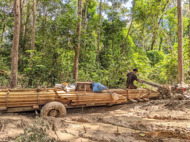 បទយកការណ៍៖ សហគមន៍ព្រៃឡង់ស្នើឱ្យតំណាងរាស្រ្តក្នុងអាណត្តិទី៧ថ្មីយកបញ្ហាព្រៃឈើនិងច្បាប់ព្រៃឈើមកឃោសនា