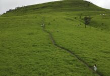 អ្នកឃ្លាំមើលចាត់ទុកការបិទតំបន់ភ្នំខ្នងផ្សារក្នុងថ្ងៃបោះឆ្នោតជាចេតនាយោបាយ