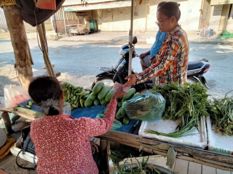 កម្រងរូបភាព៖ មុខរបរដាំ និង​លក់បន្លែនៅរាជធានីភ្នំពេញ